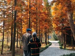 -溱湖国家湿地公园