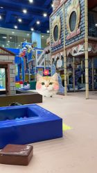 -meland亲子乐园•派对•研学(苏州悠方购物中心店)