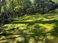 -西芳寺(苔寺)