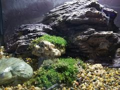 -暹罗海洋世界
