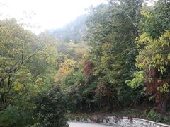 -北京鹫峰国家森林公园