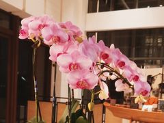 -水月周庄铂尔曼酒店-水月荟中餐厅