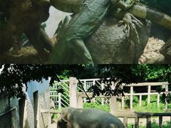 -杭州动物园