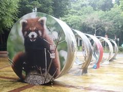 -深圳野生动物园