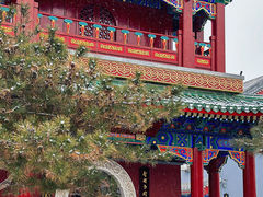 -天津大悲禅院