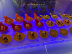 -福州天元国际威斯汀酒店·中国元素餐厅
