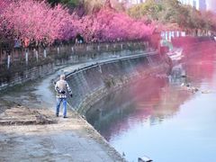 -望江楼公园