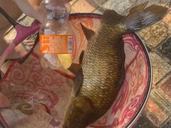 -酷鱼垂钓CLUB(朝阳区博大路店 )