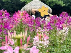 -厦门园林博览苑
