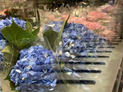 -盒马X会员店(上海森兰商都店)