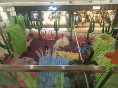 -凯德广场(学府店)