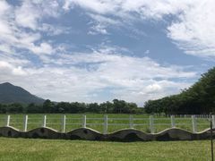 -瑞穗牧场
