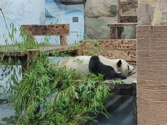 -无锡动物园·太湖欢乐园