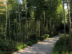 -高老庄·老溧阳·私房菜(南山竹海店)