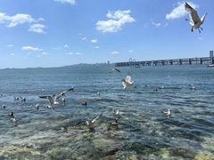 -银沙滩浴场