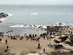 -广东惠东海龟国家级自然保护区