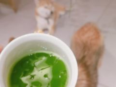 -柴务处·柴犬主题狗咖