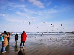 -ChanDu躔度咖啡(灯塔店)