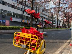 -烈士陵园(地铁站)