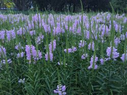 点击看大图 -大望京儿童游乐场