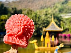 -西双版纳原始森林公园