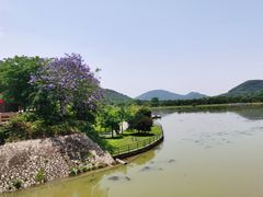 -风云岭森林公园