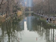 -洋湖国家湿地公园