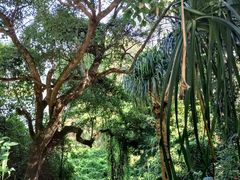 -孔雀湖生态旅游区