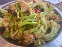 -京北渔家傲