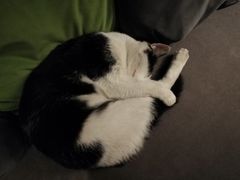 -虚荣精酿酒屋(五羊店)