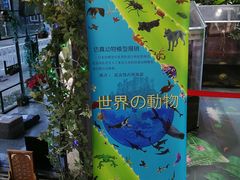 -上海大自然野生昆虫馆(东方明珠·爬宠昆虫探索中心)