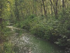 -合肥滨湖国家森林公园