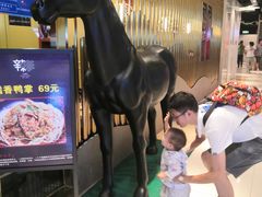-祥之缘北京烤鸭(美利广场店)