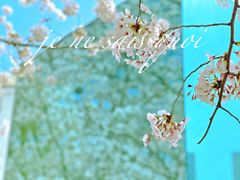 -龙美术馆(西岸馆)