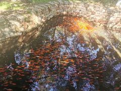 -水磨沟公园