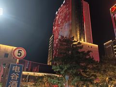 -电谷雅阁国际大酒店