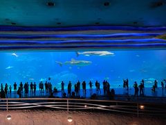 -珠海长隆海洋王国