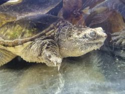 -酷嗒动物文化乐园(cutezoo西溪乐天城店)