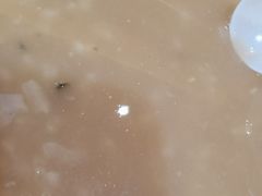 -蒸蒸包(闽江路店)