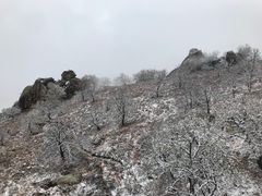 -克什克腾世界地质公园青山景区