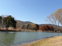 -长广溪湿地公园