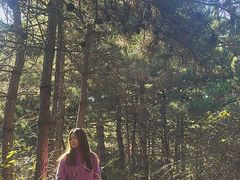 -森林公园(尖草坪区)