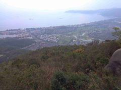 -三亚亚龙湾人间天堂鸟巢度假村