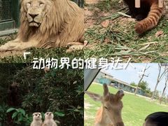 -郑州市动物园