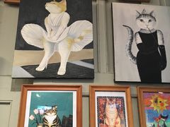 -猫咪博物馆(顶澳仔猫街店)