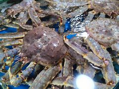 -北海港酒楼 海鲜代加工 粤菜(淡村商贸城店)