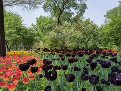 -国家植物园南园