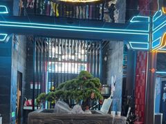 -屋有岛沉浸游戏旗舰店(中山公园店)