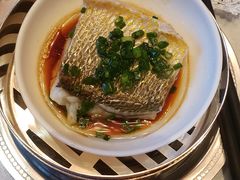 -福1015(愚园路店)