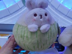-真快活Coohoo Max(武汉绿地新田360店)